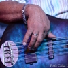 Melvin Smith - Lurrie Bell's Chicago Blues Explosion (USA)